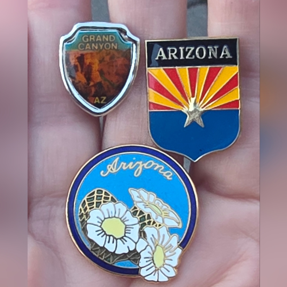 Trio of Arizona Souvenir Lapel Pins
